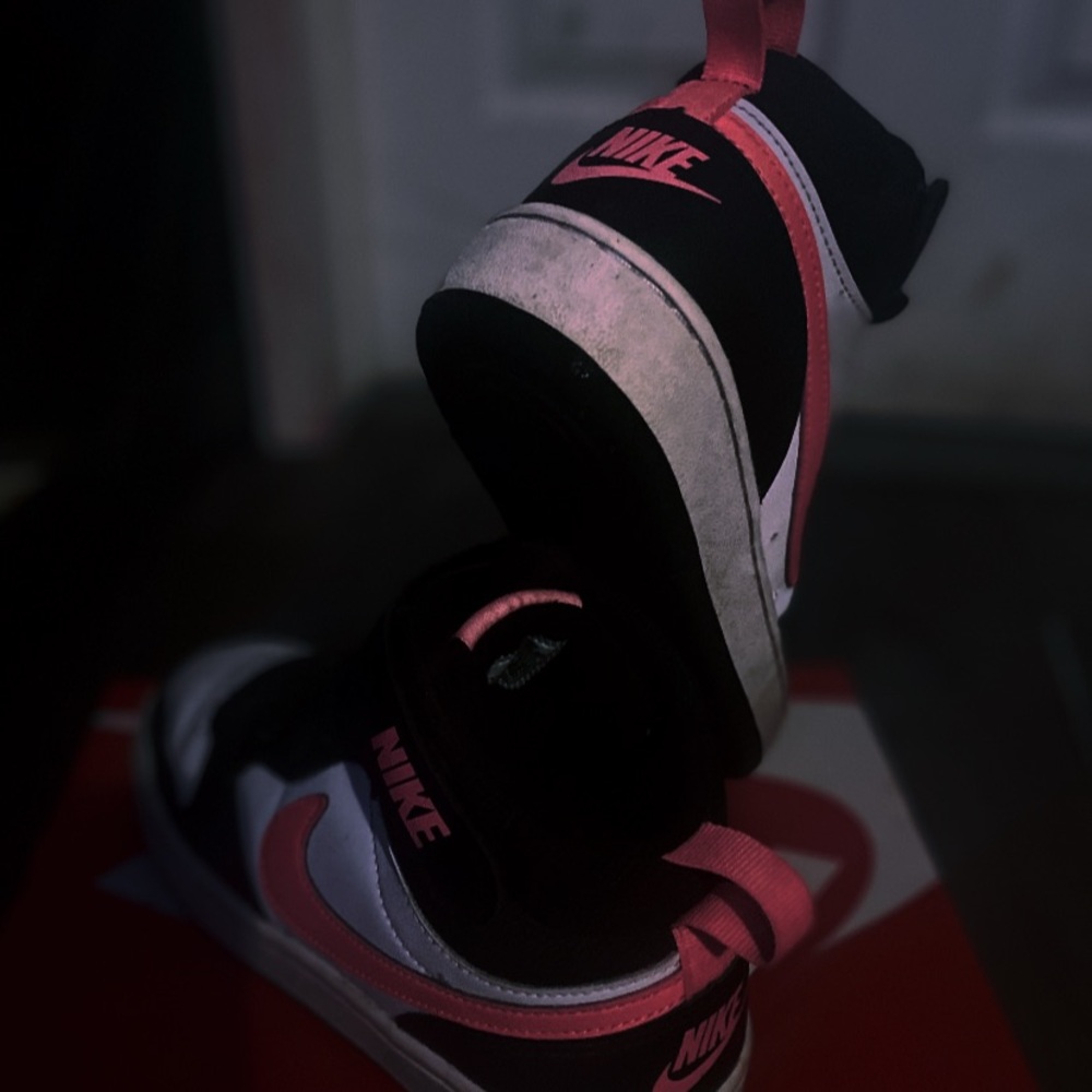 Stylish Nike Court Borough Mid 2 Sneakers